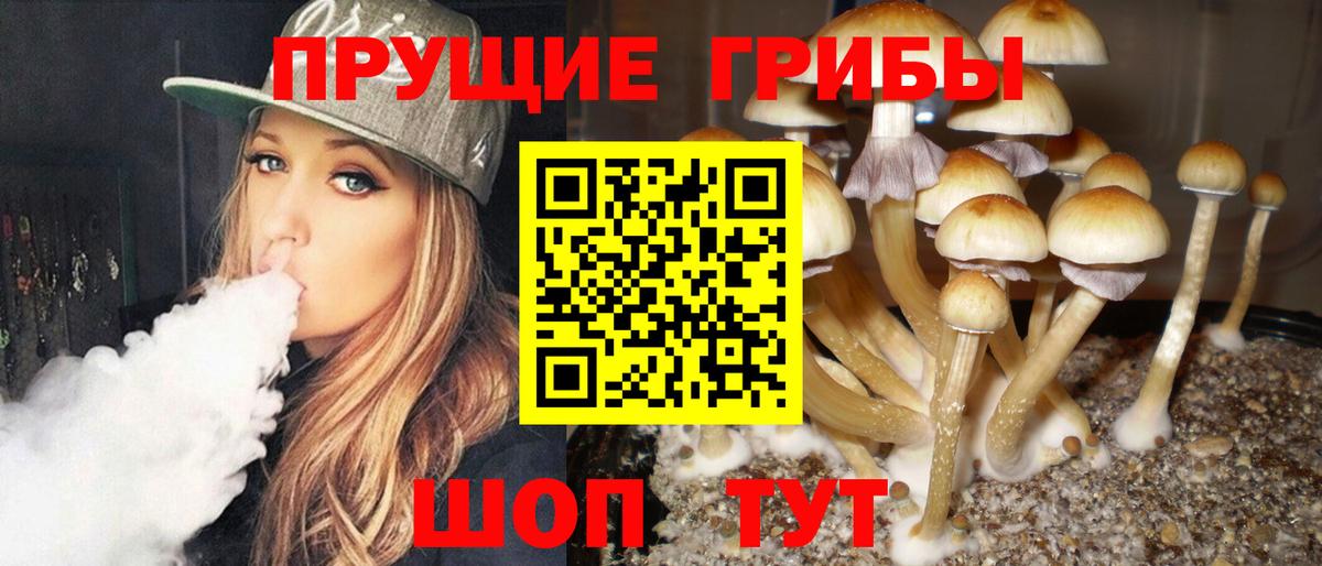 Псилоцибиновые грибы Psilocybe  Вход с VPN  где продают   Галлюциногенные грибы Cubensis  Магадан 
